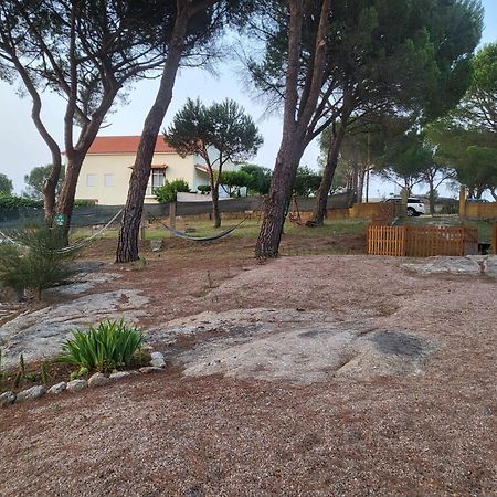 Casas De Campo Villa D'Almeida Travancinha Luaran gambar